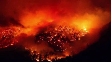 Bursa Kestel’deki yangın kontrol altına alınamıyor!