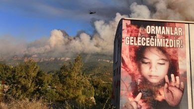 Orman yangınlarında 21 kişi tutuklandı